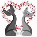Astrologie, affinit&eacute;s du couple